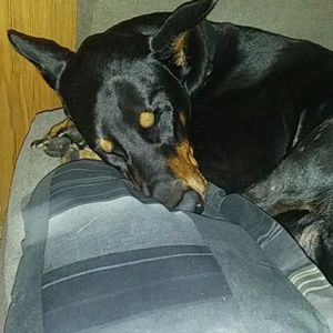 Meet your Posher, Linda